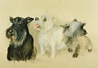 Fiona Vickery - Animal Portraits: Three Terriers