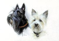 Fiona Vickery - Animal Portraits: Terrier
